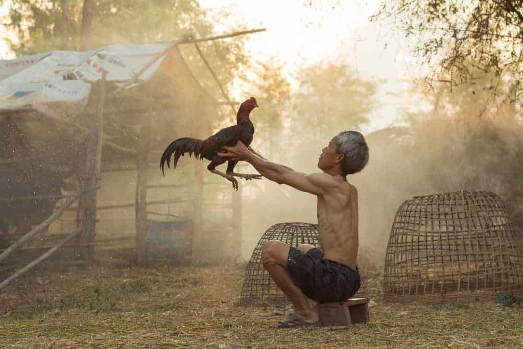 vietnam