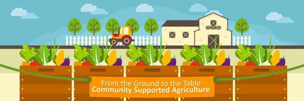 community supported agriculture