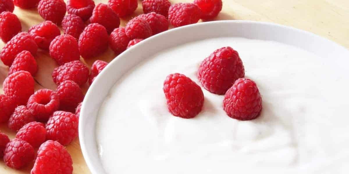 Homemade Yogurt: How to make one (or two)?