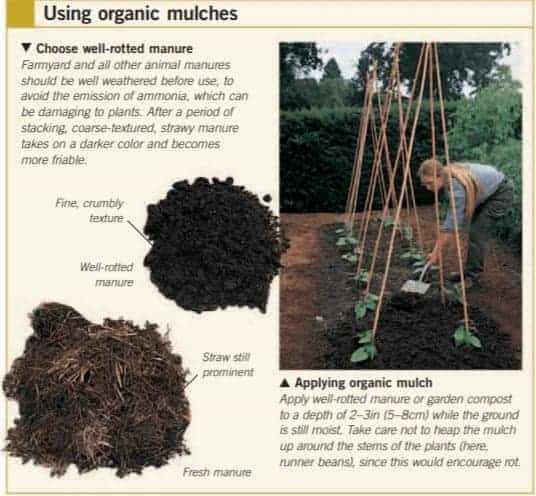 organic mulches