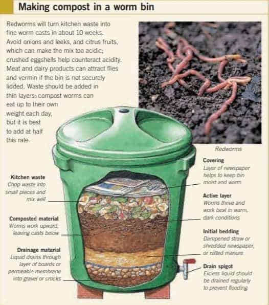 worm bin