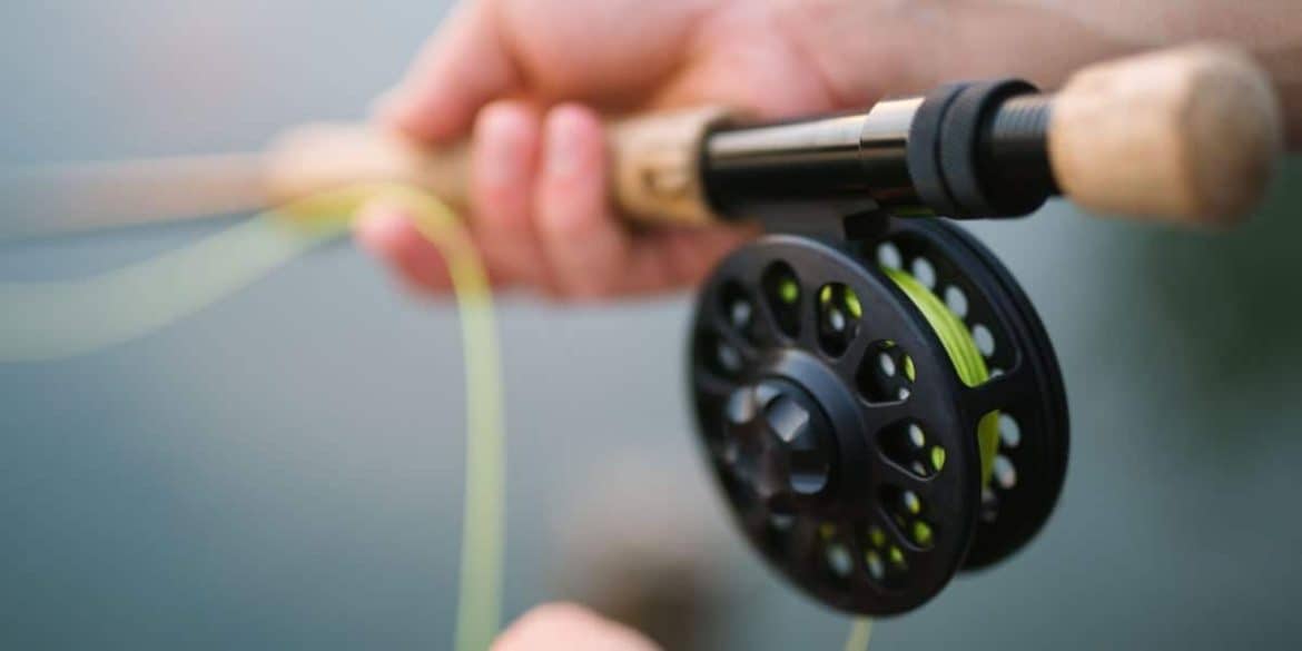 Carp Fishing Rods And Reels How to choose? Farmvina
