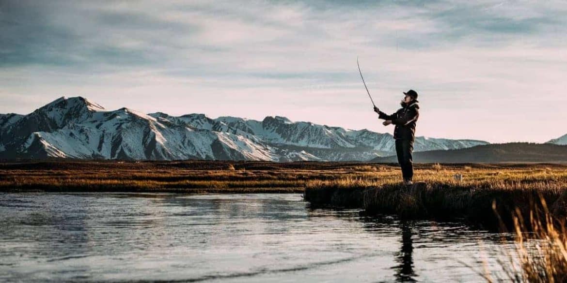 How To Catch Carp Effortlessly? 9 nice tips for you! Farmvina