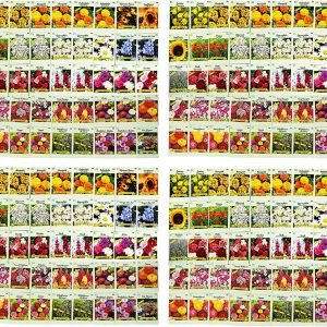 Assorted Flower Seed Packets