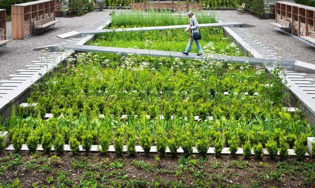 Urban Agriculture: Transforming City Life