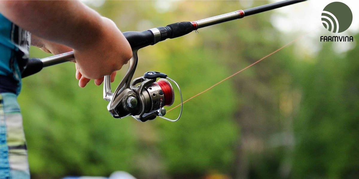 Fishing Tips and Tricks: Reel in Big Fish!