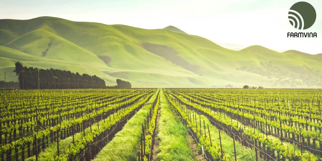 farms for sale
