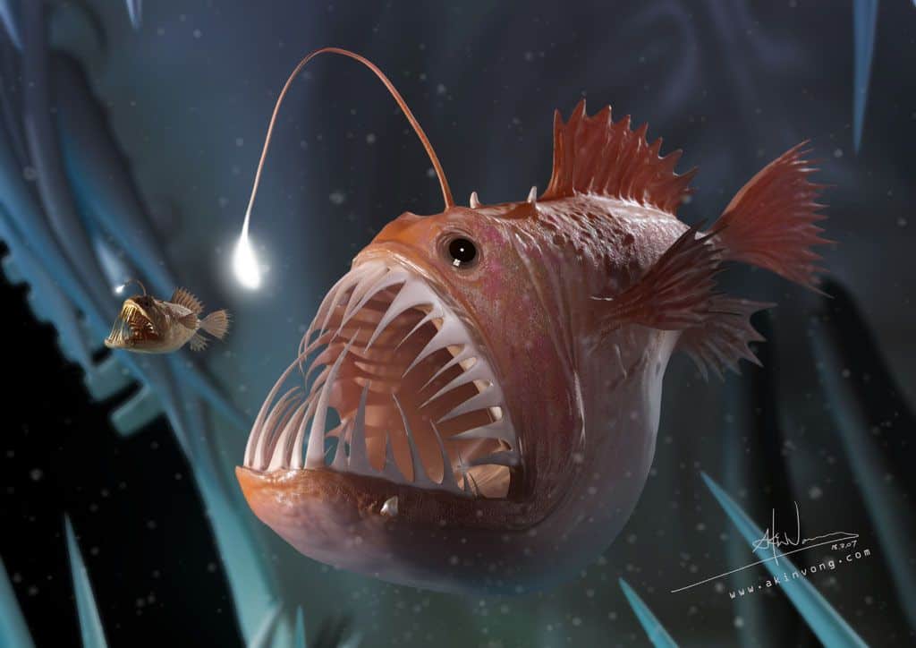 Fish Angler's Guide: Catching the Big Ones | Farmvina