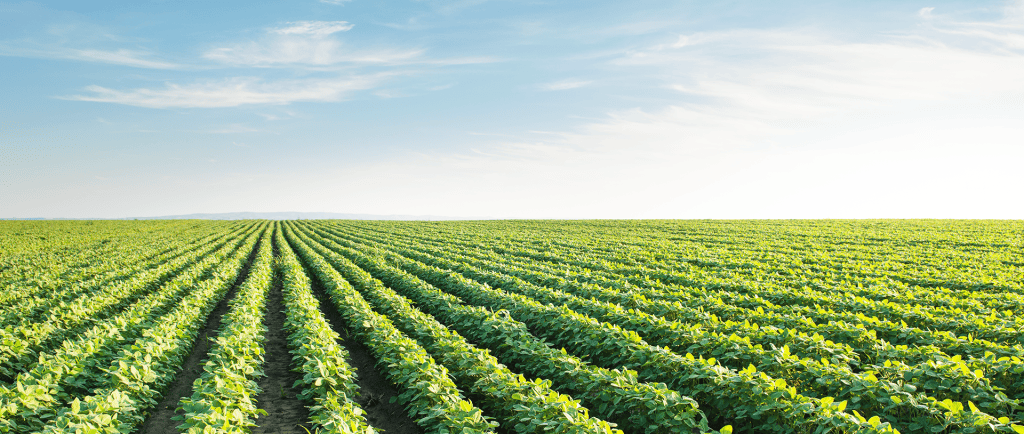 green farms