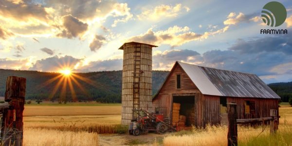 Ranch vs Farm: Unveiling Key Differences | Farmvina