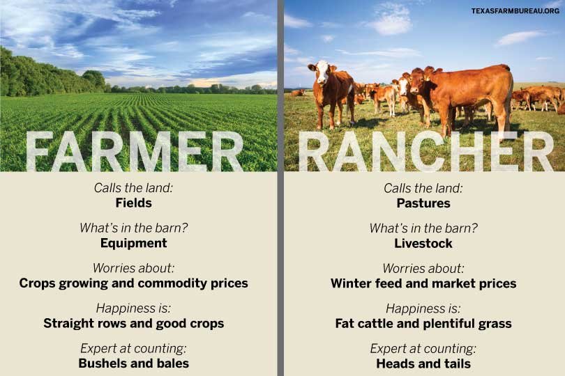 ranch-vs-farm-unveiling-key-differences-farmvina