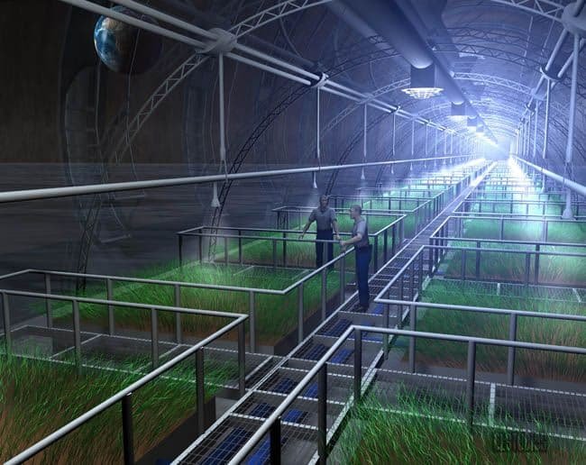 Space Farming: The Future of Agriculture