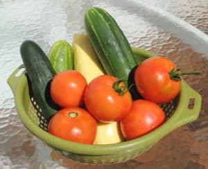  vegetables to plant in may