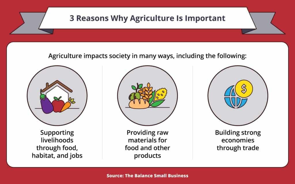 why is agriculture important