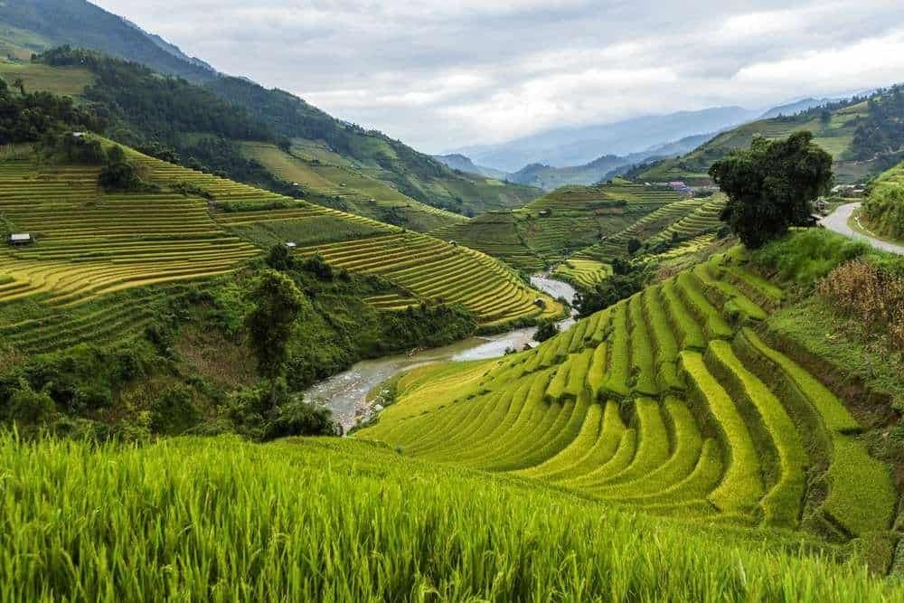 Terracing: Boosting Southeast Asian Agriculture 