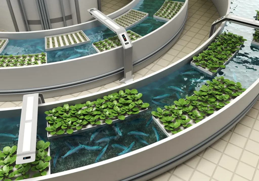 How to Start an Aquaponics Farm
