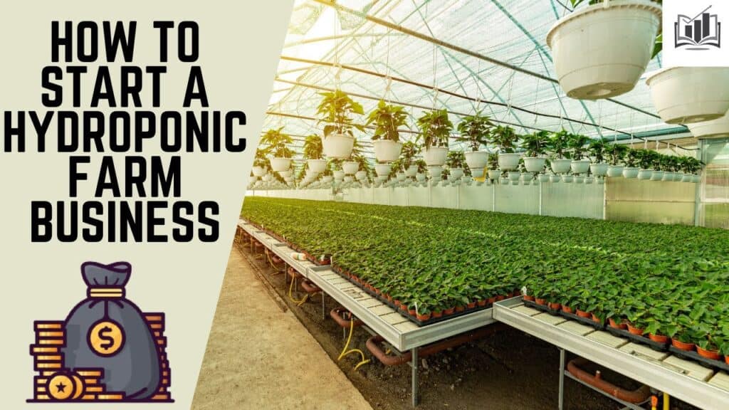 How to Start a Hydroponic Farm