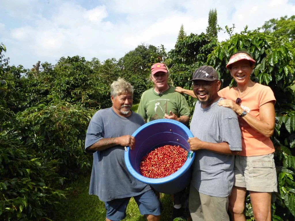 Mountain Grown Coffee