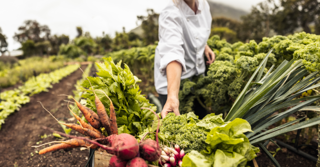 Profitable Niche Crops For Small-Scale Organic Farming