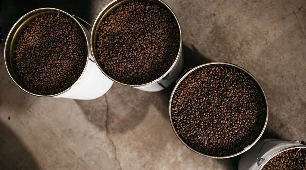 How Long do Coffee Beans Last