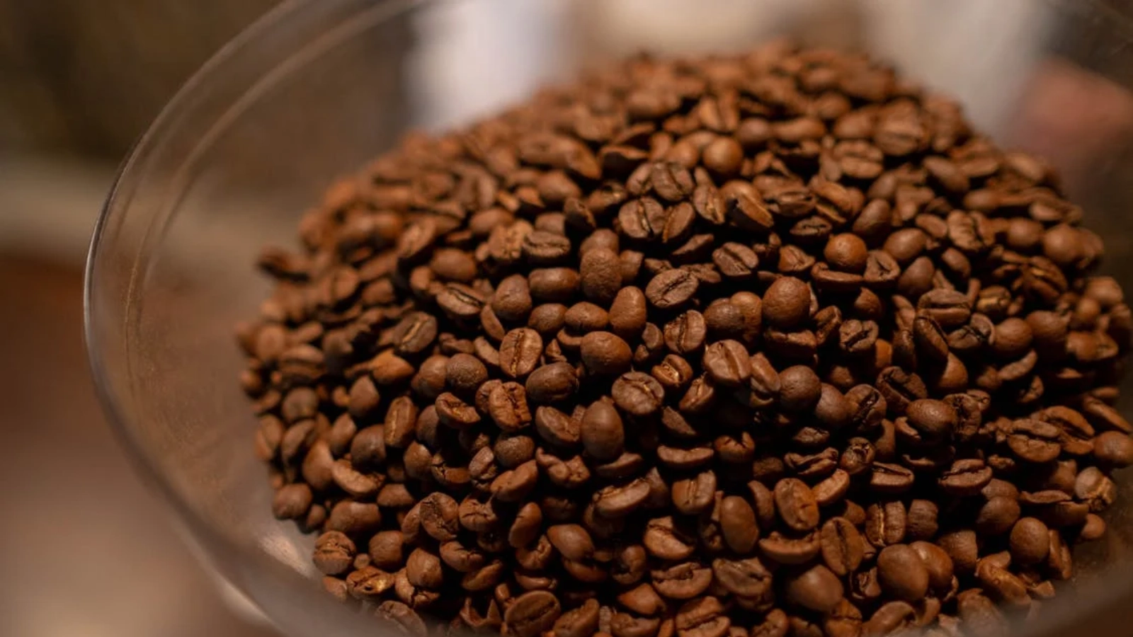 What To Do with Old Coffee Beans? Revive Your Morning Brew