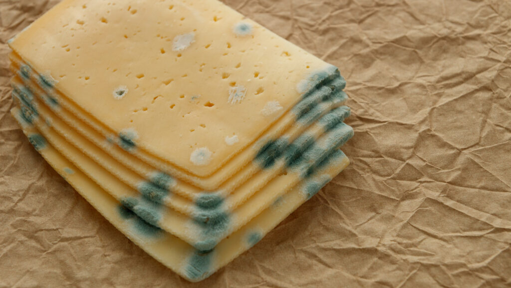 Will Cooking Moldy Cheese Kill Bacteria