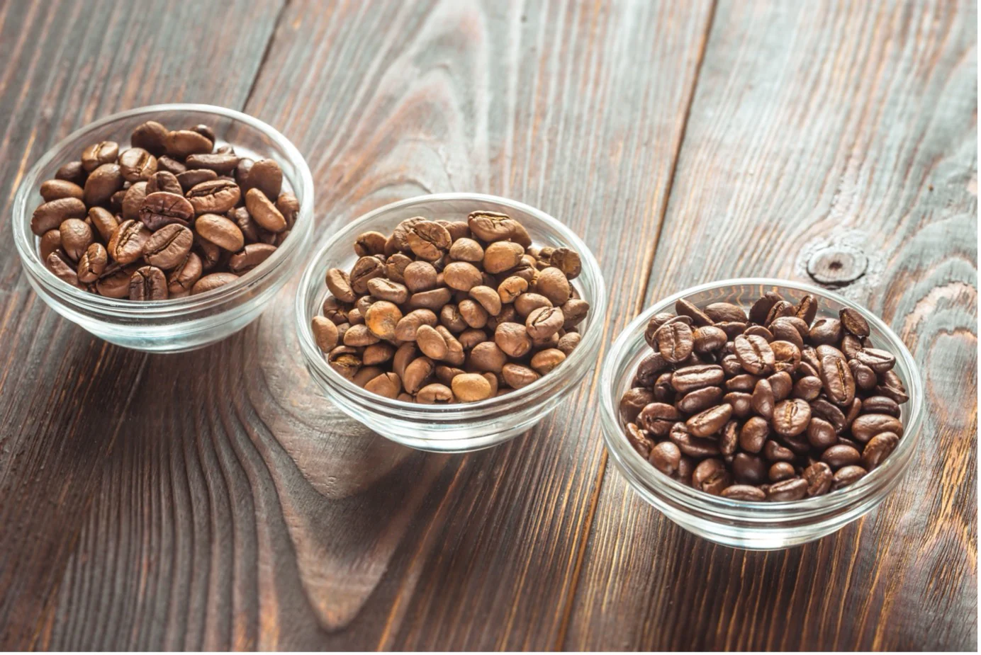 Light, Medium, Dark Roast: Understanding the Differences